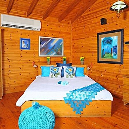 The Golan Cabin Βίλα Had Nes Εξωτερικό φωτογραφία